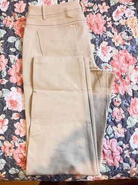 Kit and Ace Beige Men's Pants